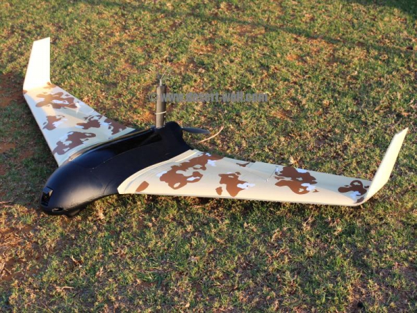 Bat Surveillance Drones